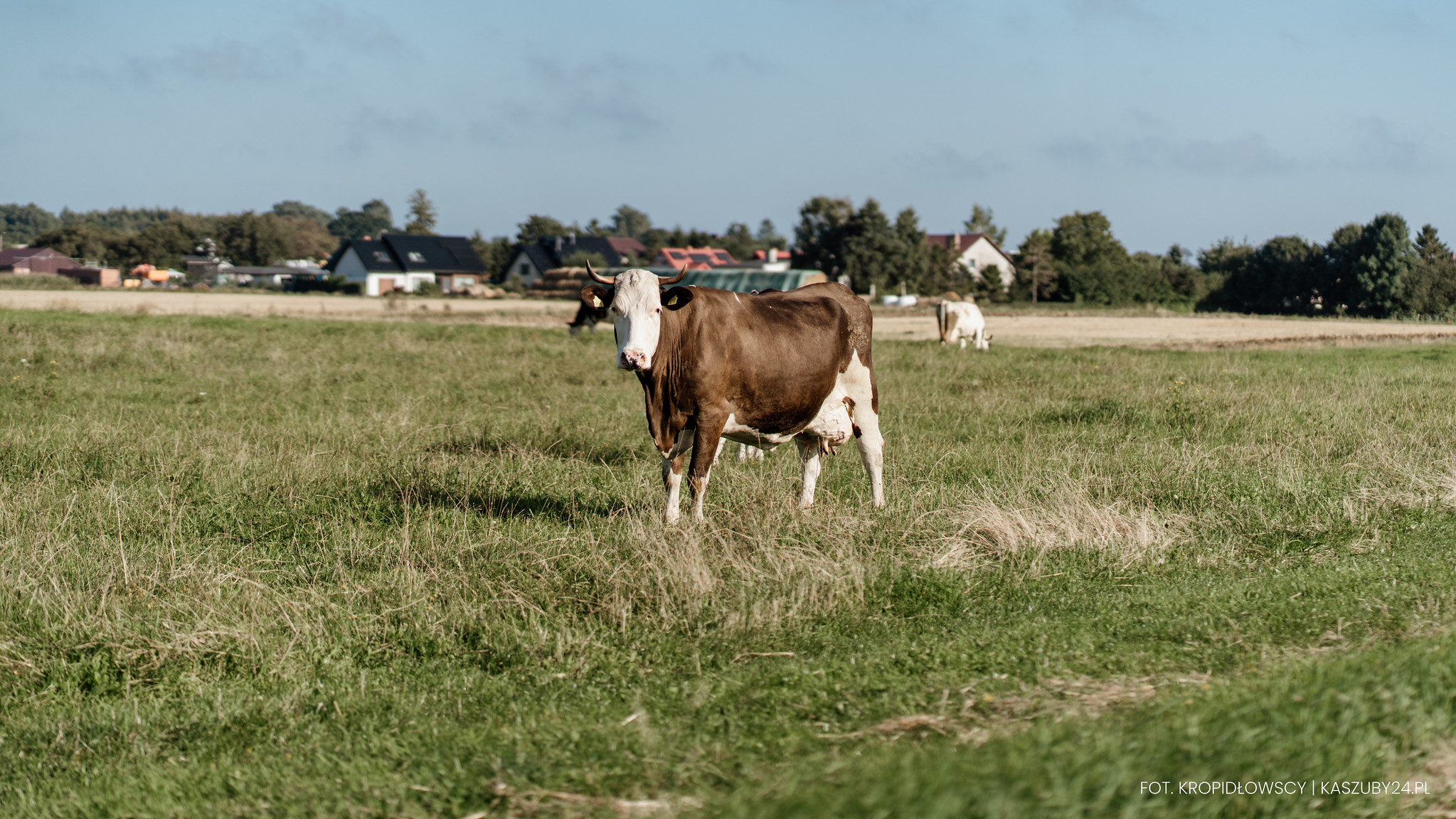 Fotografia - produkcja